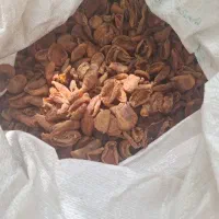 برگ زردالو