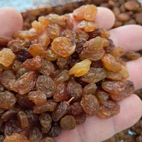 کشمش افتابی  طاهریان عبادی ۹۳   کنار|خوردنی و آشامیدنی|مشهد, عبادی|دیوار