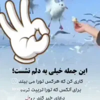راهنمای کنین