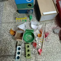 مقدار متعلقات قفس پرندگان زینتی