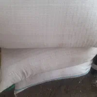 گندم
