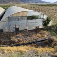 فروش گلخانه  400 متری|عمدهفروشی|سلیمان, |دیوار