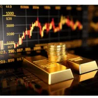 بازار های مالی|فعالیت داوطلبانه|سردشت, |دیوار