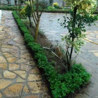 طراحی و محوطه سازی