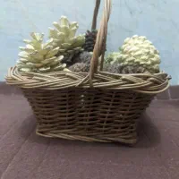 سبد حصیری کاج و بلوط یلدا|صنایع دستی و سایر لوازم تزئینی|قم, نوقطار|دیوار