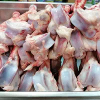 قلم بره پرمغز و تازه|خوردنی و آشامیدنی|نجفآباد, منتظری شمالی|دیوار