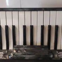 آکاردیون|پیانو، کیبورد، آکاردئون|گنبد کاووس, |دیوار