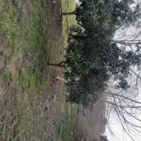 فروش-زمین-420-متر