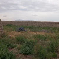 زمین عیش آباد