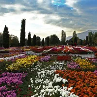 خدمات فضای سبز آبیاری قطره ای تخصصی