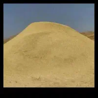 کاه گندم دیم کردستان کاه نود کاه لوبیا