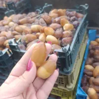 حراج رطب عسلی بشرط