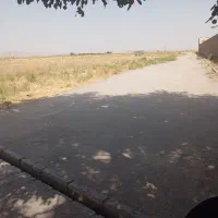 زمین نقد و اقساط با موقعیت مکانی عالی|فروش زمین و ملک کلنگی|مشهد, تبادکان|دیوار