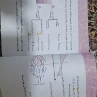 بسته جامع و کامل کنکور پرش رشته تجربی (معلم خصوصی)