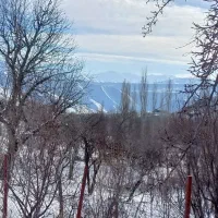 زمین چسب بافت