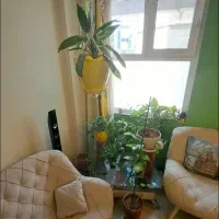 فاطمی-باباطاهر-55متر-یک-خواب-فول-امکانات-خوش-نقشه