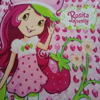 پتو دختر توت فرنگی|رختخواب، بالش، پتو|تبریز, |دیوار