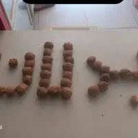 گردو بدلان درجه یک
