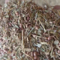 خار ترنجبین فقط برگ دانه