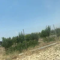 زمین باغ شهری|فروش زمین و ملک کلنگی|مرودشت, بیست متری بیمارستان|دیوار