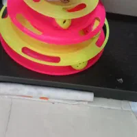 واگذاری گربه|گربه|اندیشه, اندیشه فاز ۲|دیوار