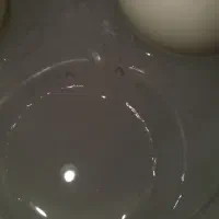 سنگ های آسیاب|کلکسیون اشیاء عتیقه|زنجان, |دیوار