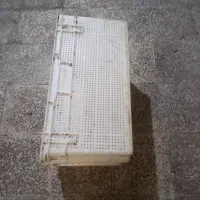 سبد|ظروف نگهدارنده، پلاستیکی، یک‌بارمصرف|بندرعباس, |دیوار
