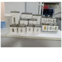 پاسماوری مارک لمون