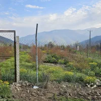 زمین باقرآباد رامیان