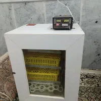 فروش دستگاه جوجه کشی پرندگان