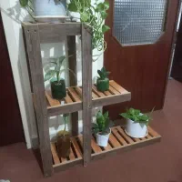 استند گلدان چوبی|گل و گیاه طبیعی|تهران, شادمان|دیوار