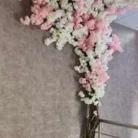 اجاره تمامی لاین های زیبایی