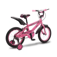 دوچرخه 12 ، 16 و 20 چیاوا (دوچرخه امین)قم|دوچرخه، اسکیت، اسکوتر|ساوه, |دیوار