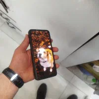 ردمی نوت14|موبایل|شیراز, انجیر|دیوار