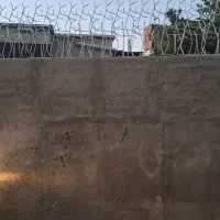 تولیدکننده حفاظ شاخ گوزنی|خدمات پیشه و مهارت|گنبد کاووس, |دیوار