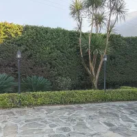 باغبانی و کارواش حیاط و سقف ویلا|خدمات باغبانی و درختکاری|سلمانشهر, |دیوار