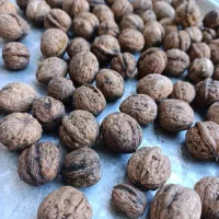 گردو محلی درجه یک کاغذی|خوردنی و آشامیدنی|کلاترزان, |دیوار