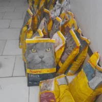 غذای سگ وگربه