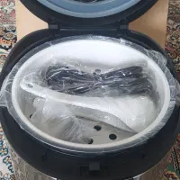 پلوپز وآرام پزبرقی