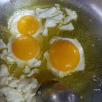 تخم مرغ محلی|خوردنی و آشامیدنی|قزوین, |دیوار