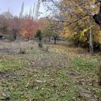 فروش یک قطعه باغ 4000 متری