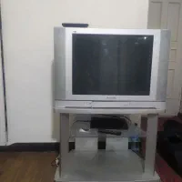 تلویزیون اصل