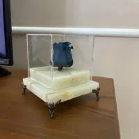 گل رز جاویدان آبی