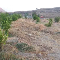 فروش باغ کشاورزی متری یک میلیون تومان. سرپری|فروش زمین و ملک کلنگی|دهدشت, |دیوار