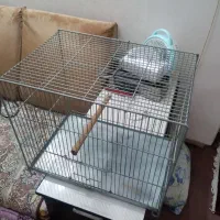 قفس پرنده غلامی