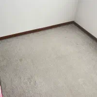 پالاز موکت