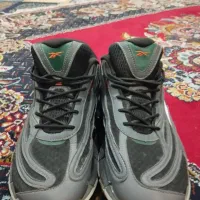 کفش ویتنام|کیف، کفش، کمربند|مرودشت, فرهنگ|دیوار