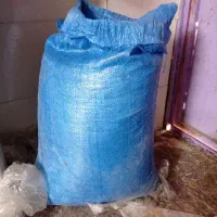 فروش گندم|گل و گیاه طبیعی|لنده, |دیوار