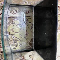 اکواریوم|ماهی|اسلام‌شهر, مطهری|دیوار