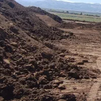 کود حیوانی  با قیمت مناسب و ارسال سریع